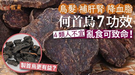 何首烏 什麼人不能吃|何首烏 的功效與作用有哪些？完整解析！